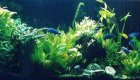 Akvarium