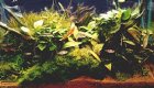 Akvarium